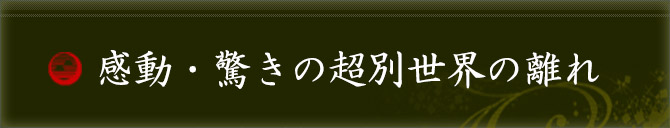 感動、驚きの超別世界の離れ